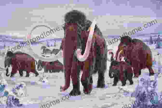 A Herd Of Mammoths Grazing In A Prehistoric Landscape 14 Fun Facts About Mammoths: A 15 Minute (15 Minute 37)