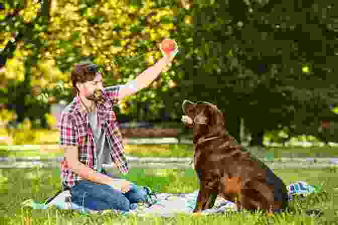 A Man Playing With His Dog Joy : Photographs Of Life S Happiest Moments