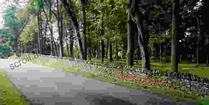 A Photo Showcasing A Beautiful Rock Fence In Kentucky's Bluegrass Region. Rock Fences Of The Bluegrass (Perspectives On Kentucky S Past: Architecture Archaeology And Landscape)