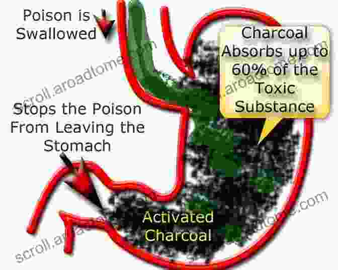 Activated Charcoal Can Help Absorb Toxins And Bacteria From The Digestive Tract. Home Remedies For Food Poisoning: Quick And Trusted Herbal Antibiotics For Food Borne Ailments