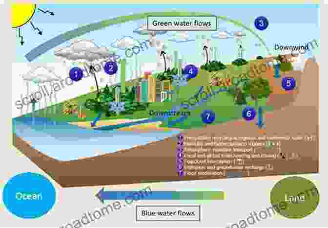 Aerial View Of A Protected Aquifer Area With Green Vegetation And Clean Water Analysis Of Hydrogeochemical Vulnerability (Springer Hydrogeology)