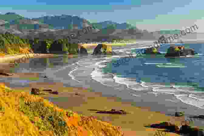 Aerial View Of The Rugged Oregon Coastline With Sea Stacks And Sandy Beaches The View From Cascade Head: Lessons For The Biosphere From The Oregon Coast