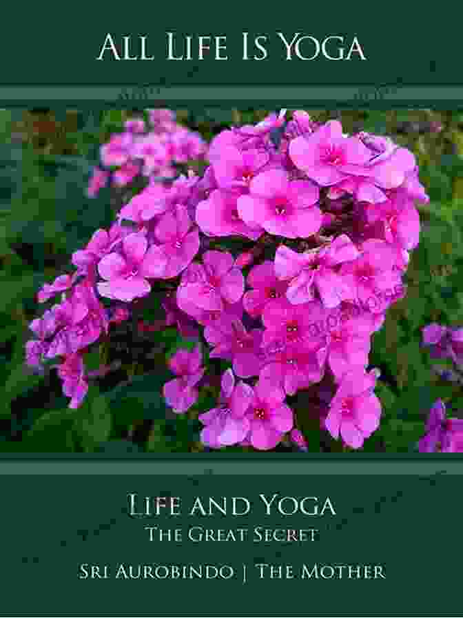 Author's Photo All Life Is Yoga: Concentration