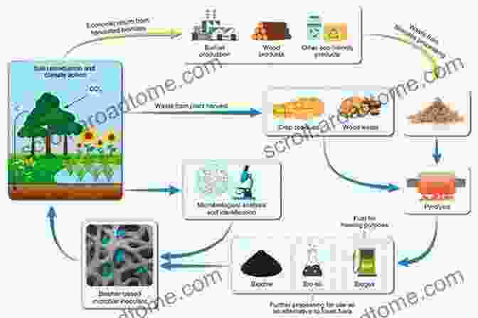 Bacillus Bacteria Contributing To Environmental Sustainability, Reducing Chemical Inputs And Waste Generation Bacilli And Agrobiotechnology (Bacilli In Climate Resilient Agriculture And Bioprospecting)