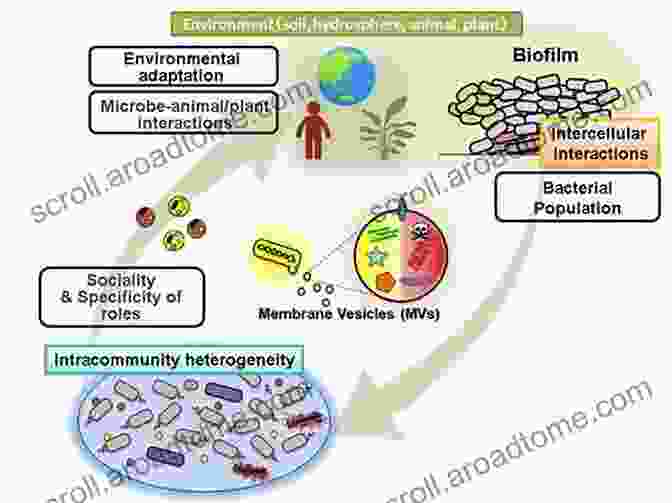 Bacillus Bacteria Utilized In Industrial Processes, Offering Environmentally Friendly Alternatives Bacilli And Agrobiotechnology (Bacilli In Climate Resilient Agriculture And Bioprospecting)