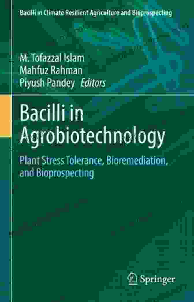 Book Cover Of 'Bacilli And Agrobiotechnology: Bacilli In Climate Resilient Agriculture And Bioprocesses' Bacilli And Agrobiotechnology (Bacilli In Climate Resilient Agriculture And Bioprospecting)