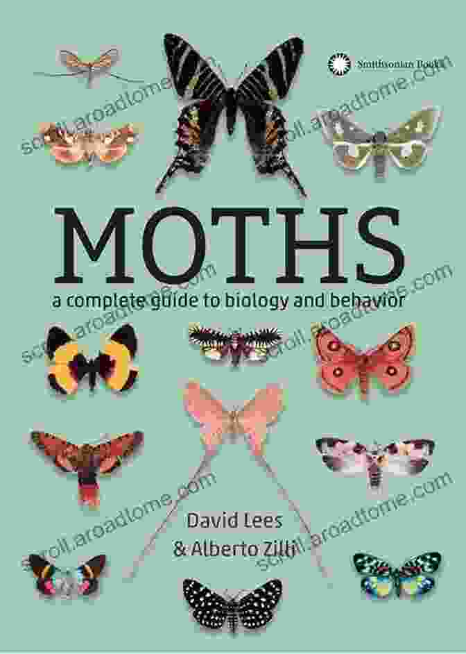 Book Cover Of Like Moth On Pin Like A Moth On A Pin