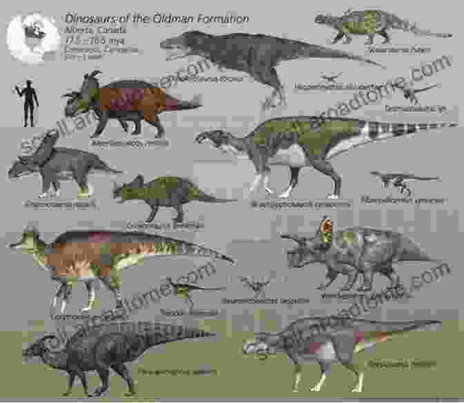 Chart Showing The Different Dinosaur Species Found In Alberta The Dinosaur Encounter: The Alberta Episode