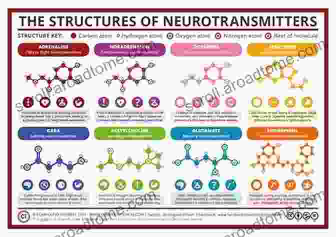 Chemical Structures Of Various Neurotransmitters And Their Receptors Developmental Neuropsychology: A Clinical Approach (Brain Behaviour And Cognition)