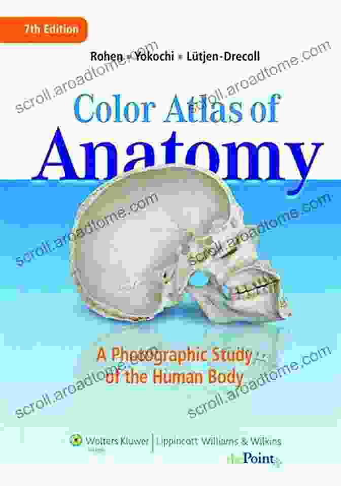 Cover Page Of The Color Atlas Of Human Anatomy, Volume 2: Internal Organs Color Atlas Of Human Anatomy Vol 2: Internal Organs