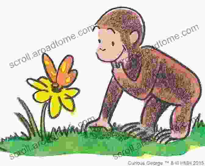 Curious George Observes A Colorful Butterfly, Delighting In The Beauty Of Nature. Curious George Discovers The Senses