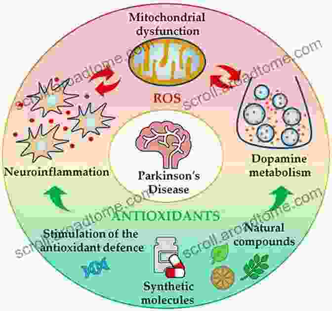 Diagram Illustrating The Role Of Oxidative Stress In Parkinson's Disease Oxidative Stress And Redox Signalling In Parkinsons Disease (ISSN 34)