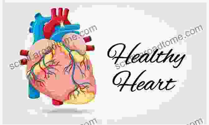 Diagram Of A Healthy Heart Heart Disease In Pregnancy Celia Oakley