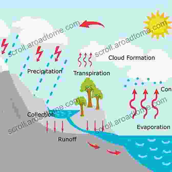 Diagram Of The Water Cycle Hydrology: A Science Of Nature