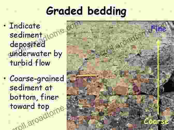 Fabrics In Sedimentary Rocks, Such As Bedding, Cross Bedding, And Graded Bedding An To The Study Of Fabrics Of Geological Bodies