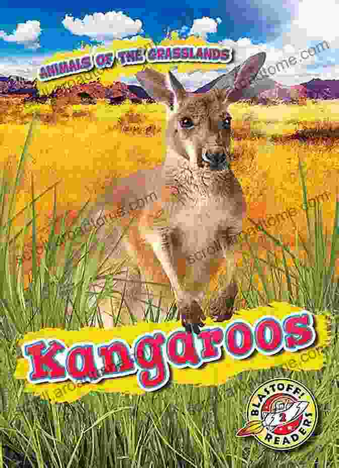 Front Cover Of Kangaroo And Crocodile, Featuring A Kangaroo And A Crocodile Standing Together In A Lush Green Setting. Kangaroo And Crocodile Bronwyn Bancroft