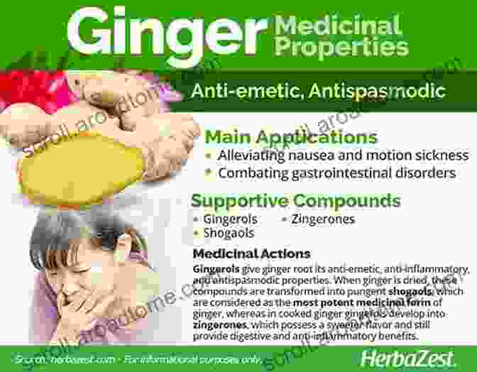 Ginger Is A Natural Anti Inflammatory And Antiemetic That Can Help Reduce Nausea And Vomiting. Home Remedies For Food Poisoning: Quick And Trusted Herbal Antibiotics For Food Borne Ailments