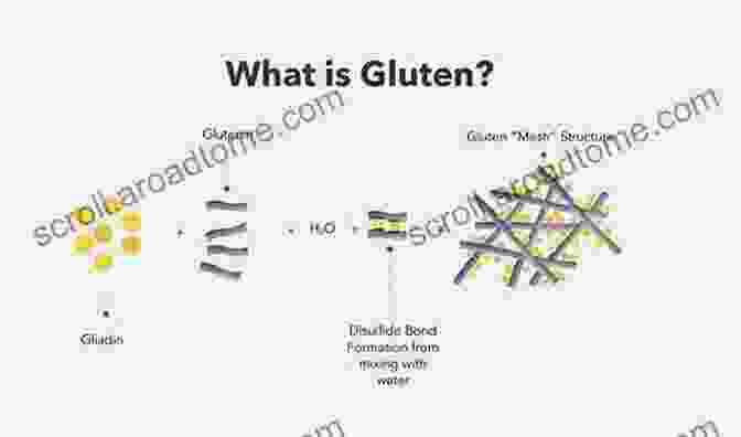 Gluten Molecule The Definitive Way To Go Gluten Free