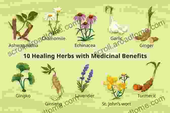 Healing Herbs Healthy Gut Solution: Healing Herbs Clean Eating Guide For Optimal Digestive Health (Gut Flora Digestion Intestinal Health IBS Leaky Gut Candida Microbiome Diet Weight Loss)