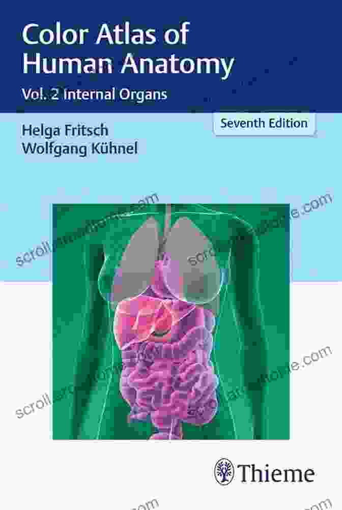 Highlighted Features Of The Color Atlas Of Human Anatomy, Volume 2: Internal Organs Color Atlas Of Human Anatomy Vol 2: Internal Organs