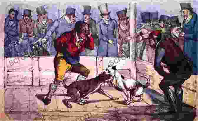 Historical Image Of Pit Bulls In England Pit Bull: The Battle Over An American Icon