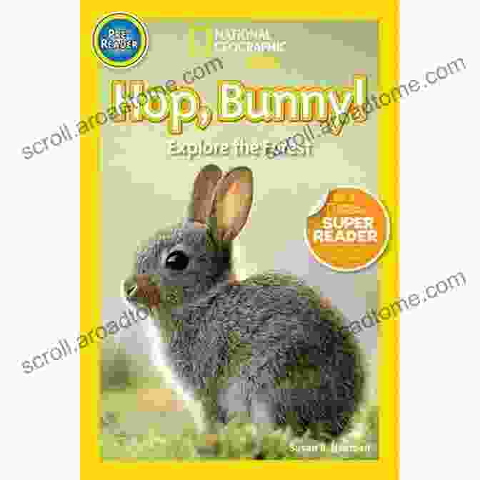 Hop Bunny Explores The Forest National Geographic Readers: Hop Bunny : Explore The Forest