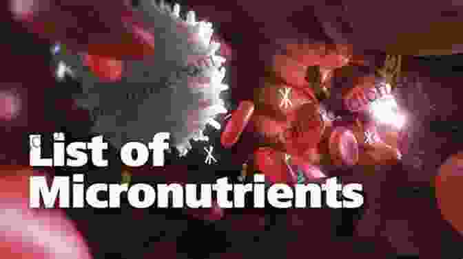 Micronutrients: The Catalysts Of Life Advanced Nutrition: Macronutrients Micronutrients And Metabolism