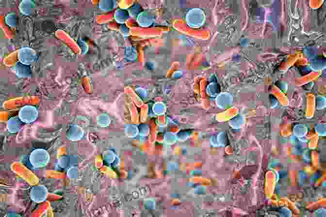 Microscopic Image Of Antibiotic Resistant Bacteria Antibiotics Are They Curing Us Or Killing Us?: The Catastrophic Impact Of The Over Prescription Of Antibiotics On Our Health