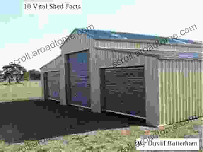 Multifaceted Sheds 10 Vital Shed Facts C S Lambert