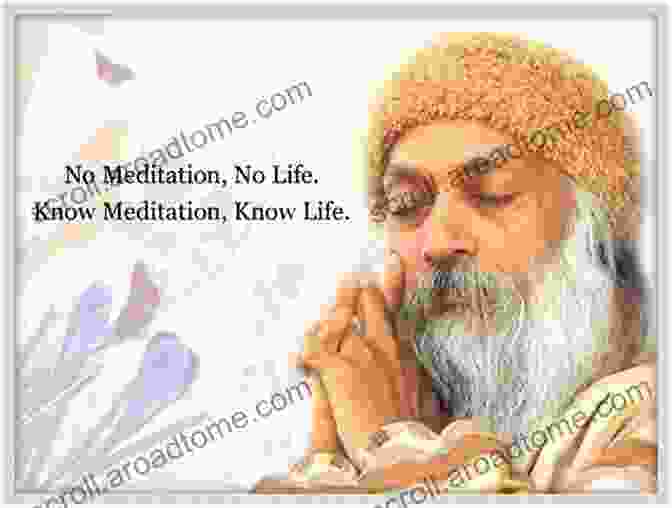 Osho On Meditation What Would Osho Say? C Stephen Evans