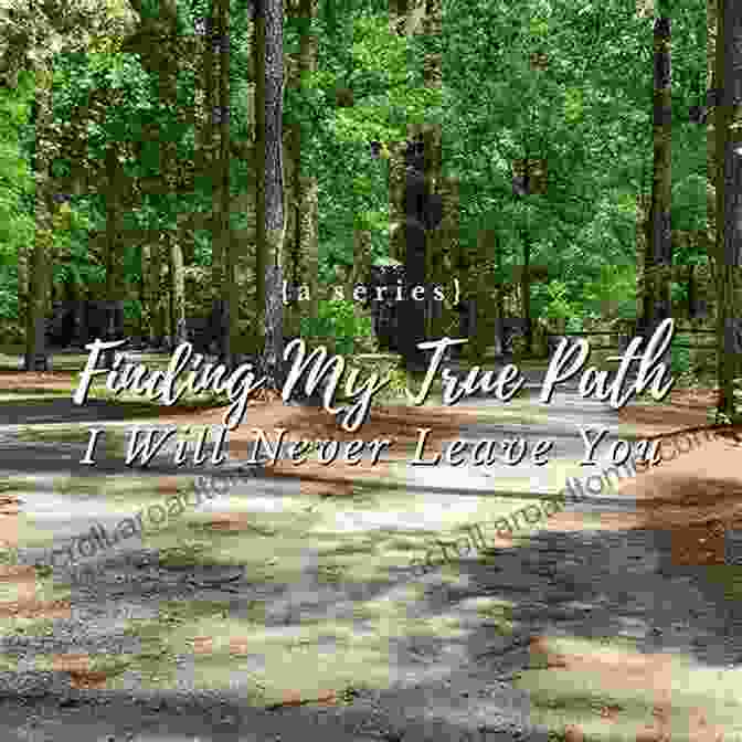 Quote From A Reader Of Spiritual Graffiti: Finding My True Path Spiritual Graffiti: Finding My True Path