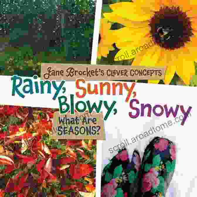 Rainy Sunny Blowy Snowy Book Cover Rainy Sunny Blowy Snowy: What Are Seasons? (Jane Brocket S Clever Concepts)