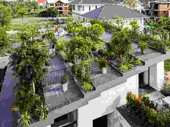 Rooftop Garden With Lush Greenery Urban Gardening (Growing Green) Carol Hand