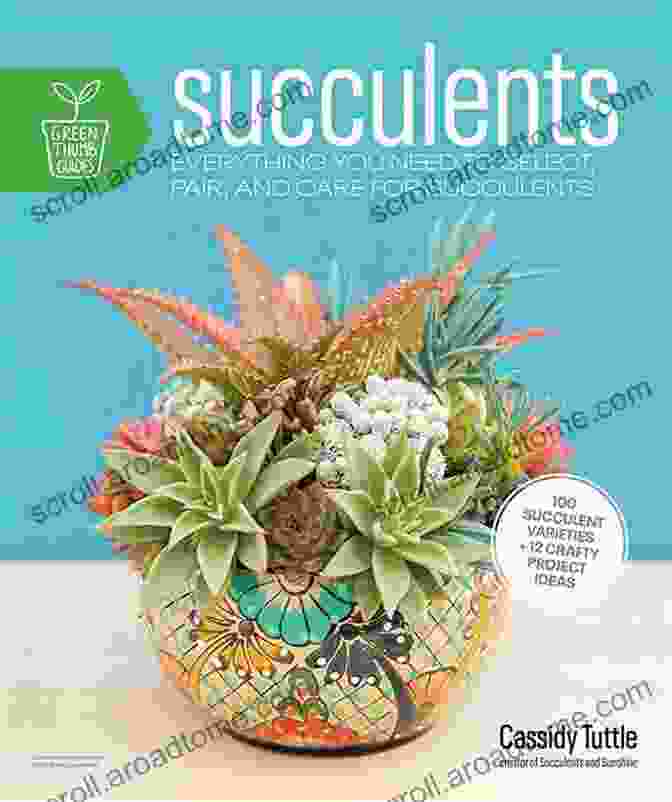 Succulents Idiot Guides By Cassidy Tuttle Succulents (Idiot S Guides) Cassidy Tuttle