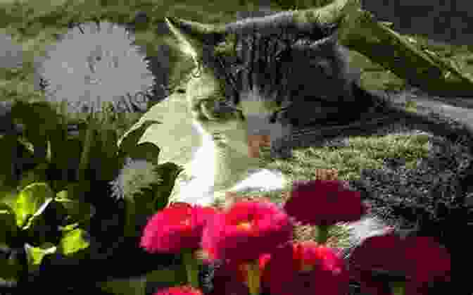 The Cat In The Hat Stands In A Field Of Flowers, Surrounded By Children. Spring Into Summer /Fall Into Winter (Dr Seuss/The Cat In The Hat Knows A Lot About That ) (Pictureback(R))