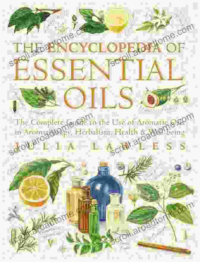 Top Essential Oil Recipes 2nd Edition Book Cover Top Essential Oil Recipes 2nd Edition: A Recipe Guide Of Natural Non Toxic Aromatherapy Essential Oils For Healing Common Ailments Beauty Stress Recipes Healing Pain Relief Stress )