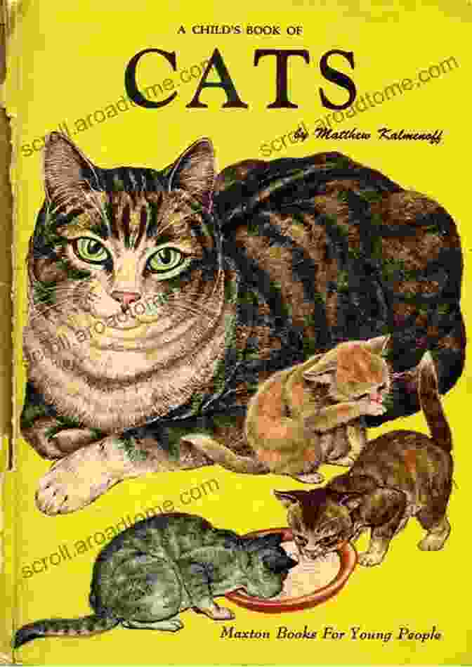 We, The Children Of Cats Book Cover We The Children Of Cats (Found In Translation)