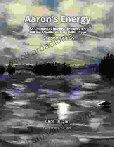 Aaron S Energy: An Unexpected Journey Through Grief And The Afterlife With My Brilliant Son