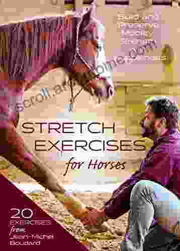 Stretch Exercises For Horses: Build And Preserve Mobility Strength And Suppleness