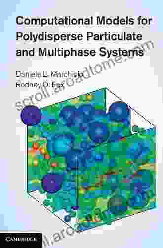 Computational Models For Polydisperse Particulate And Multiphase Systems (Cambridge In Chemical Engineering)