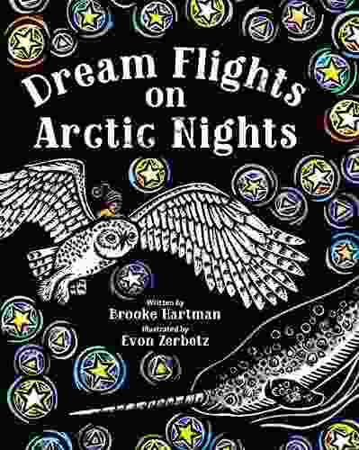 Dream Flights On Arctic Nights