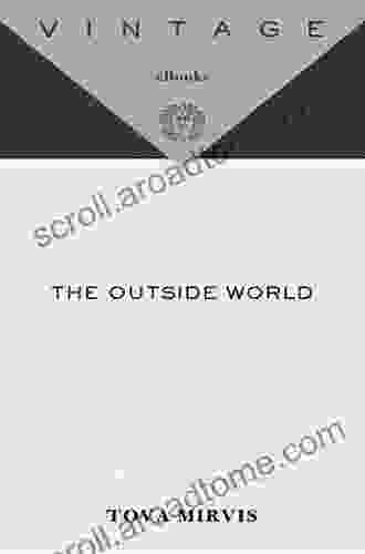 The Outside World (Vintage Contemporaries)