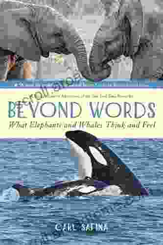 Beyond Words: What Elephants And Whales Think And Feel (A Young Reader S Adaptation)