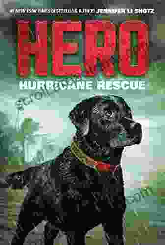 Hero: Hurricane Rescue CADArtifex