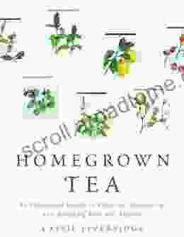 Homegrown Tea: An Illustrated Guide to Planting Harvesting and Blending Teas and Tisanes