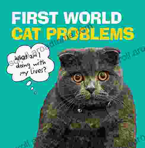 First World Cat Problems: What Am I Doing With My Lives? (Humour)