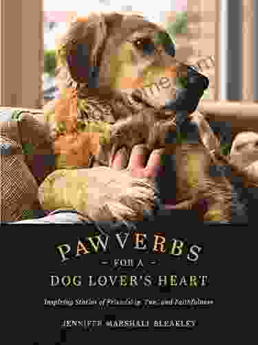 Pawverbs for a Dog Lover s Heart: Inspiring Stories of Friendship Fun and Faithfulness