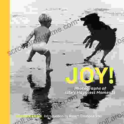 Joy : Photographs Of Life S Happiest Moments