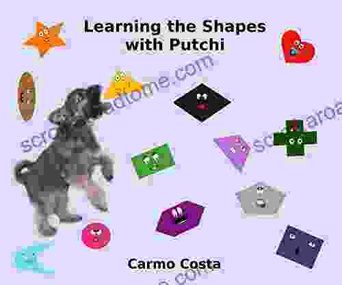 Learning The Shapes With Putchi