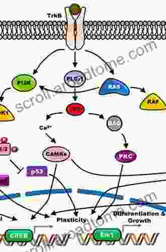 Oxidative Stress And Redox Signalling In Parkinsons Disease (ISSN 34)